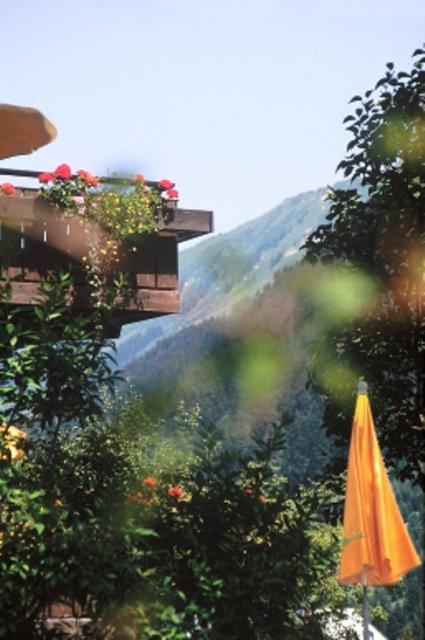 Hotel Adler Garni Hirschegg  Exterior photo